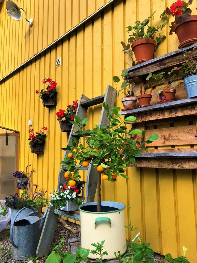 Bed and Breakfast Ekotur Upplevelser I Regna Экстерьер фото